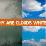 Why Are Clouds White?