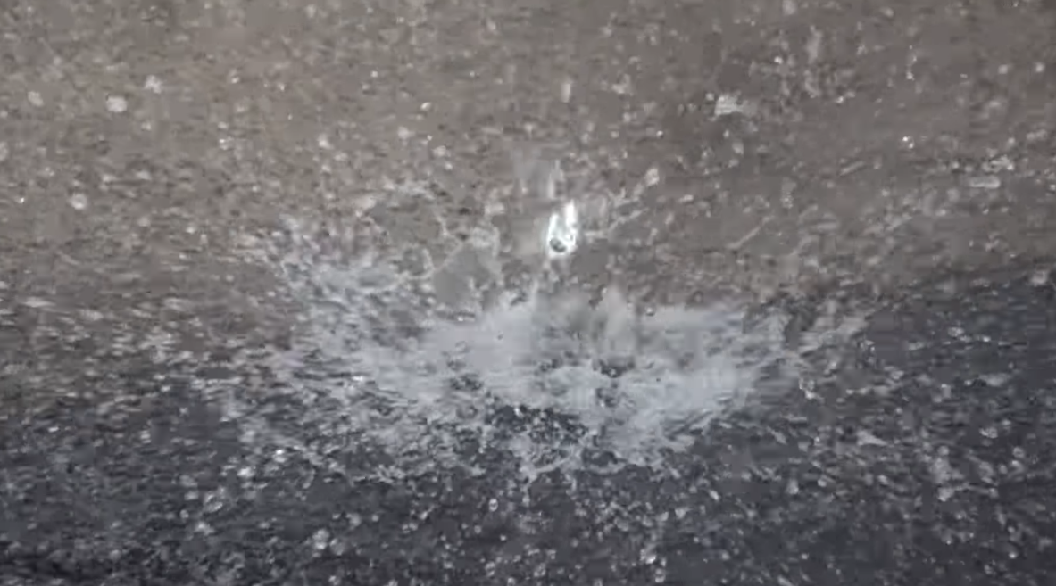 Can Wasp Fly in the Rain? WeatherStationPro