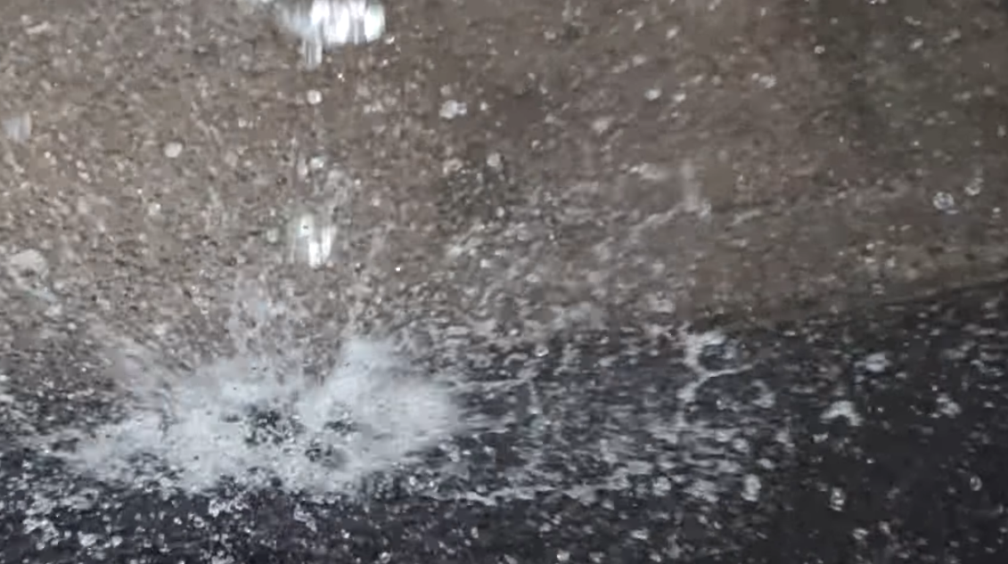 Can Wasp Fly in the Rain? WeatherStationPro