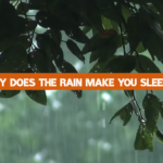 Why Does the Rain Make You Sleepy?
