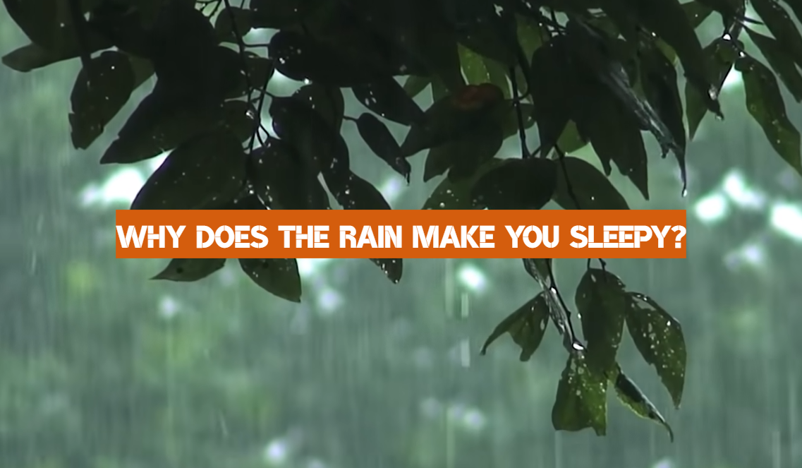 Why Does the Rain Make You Sleepy?